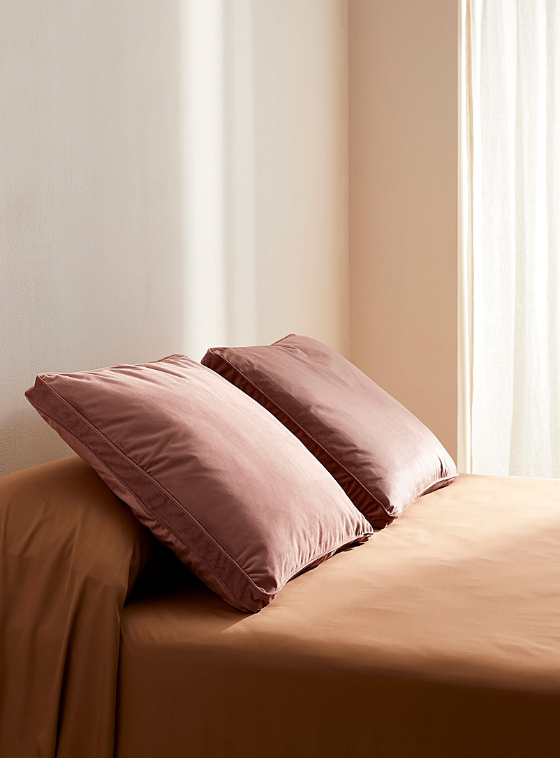 Simons Maison Dusky Pink Rich velvet Euro cushion 60 x 60 cm