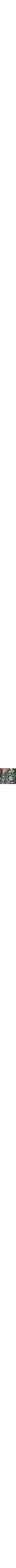Color not available