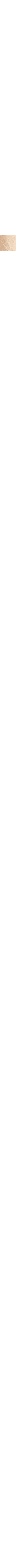 Écru à motifs