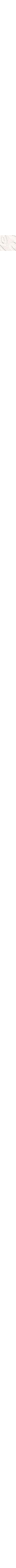 Patterned Ecru