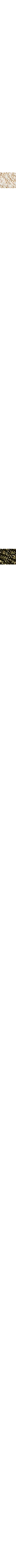 Blanc cassé