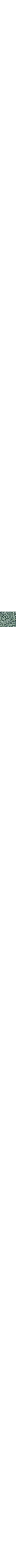 Vert à motifs