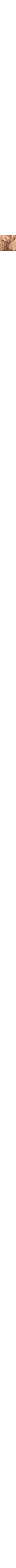 Écru à motifs