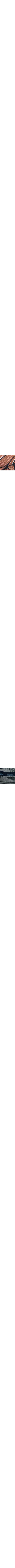 Brun à motifs