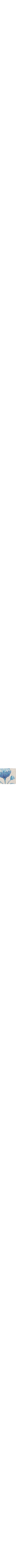 Bleu à motifs