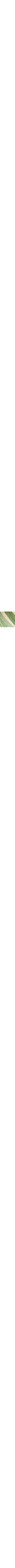 Vert à motifs