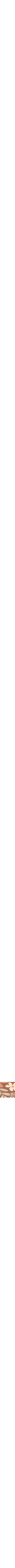 Rouge à motifs