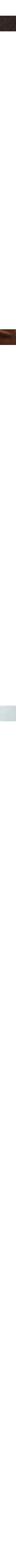 Gris acier