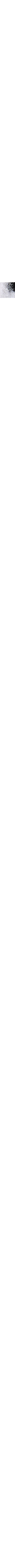 Blanc et noir