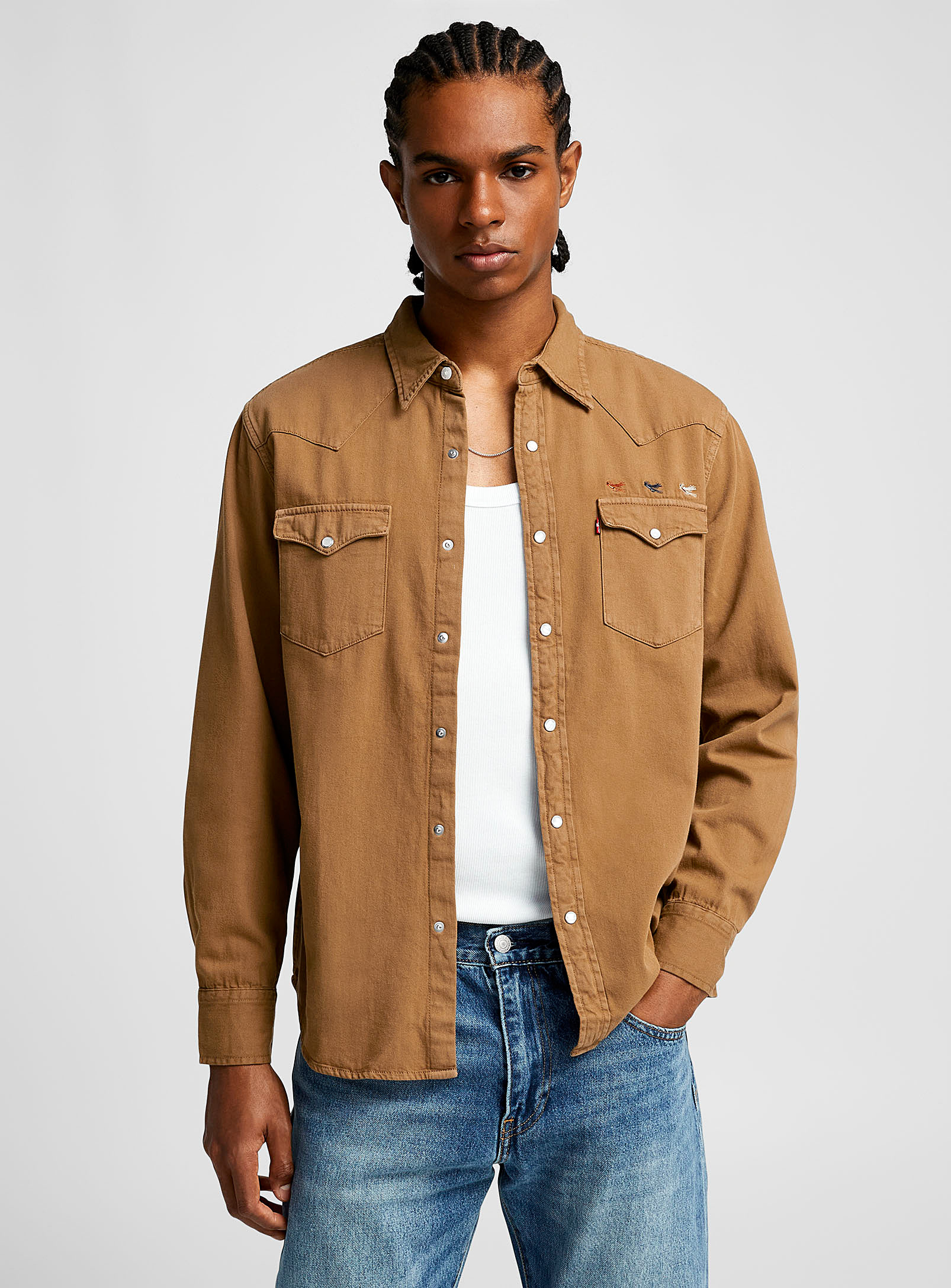 Levi's Embroidered Fly Western Shirt In Brown