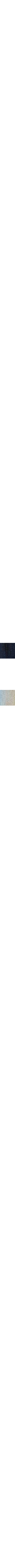 Dark wash