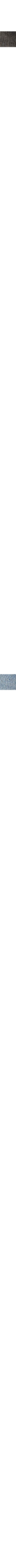 Charbon