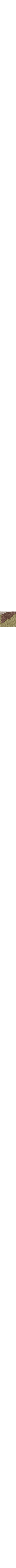 Vert à motifs