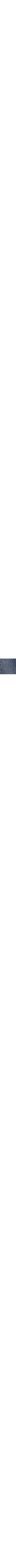 Lavé foncé