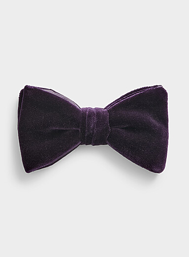 Le n&oelig;ud papillon velours Pontoglio