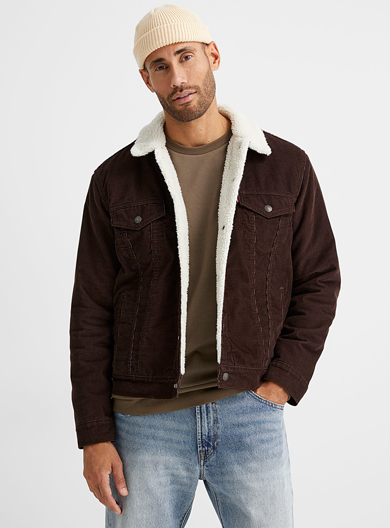 Levi's Medium Brown Sherpa-lined corduroy Trucker jacket for men