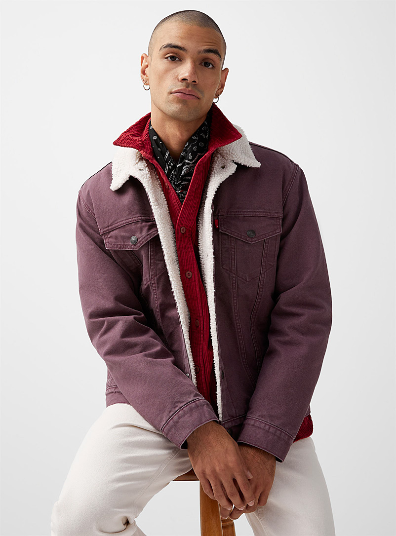 Levi's Dark Crimson Sherpa-lined Trucker jacket for men
