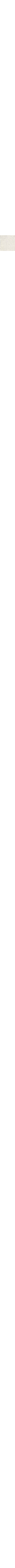 Patterned Ecru