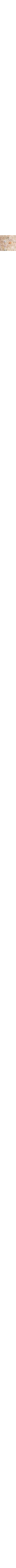Patterned Ecru