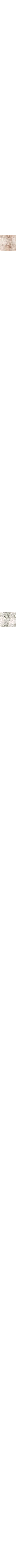 Écru à motifs