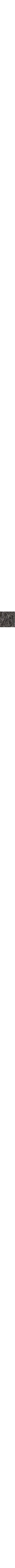 Vert à motifs