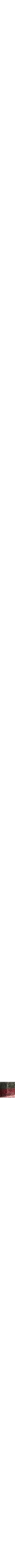 Rouge à motifs