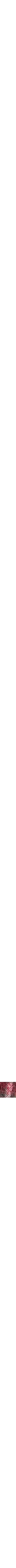 Rouge à motifs