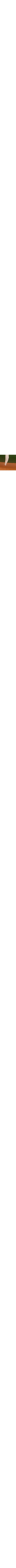 Brun à motifs
