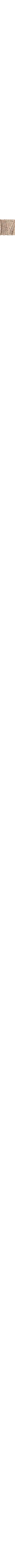 Ecru/Linen