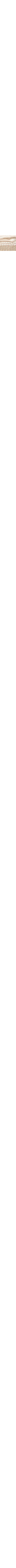 Patterned Ecru