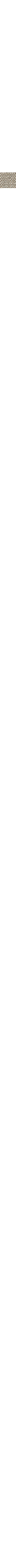 Blanc cassé