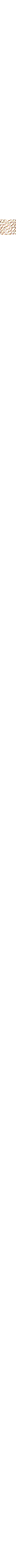 Écru - Lin