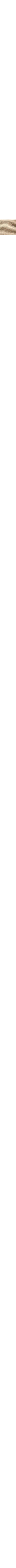 Écru - Lin