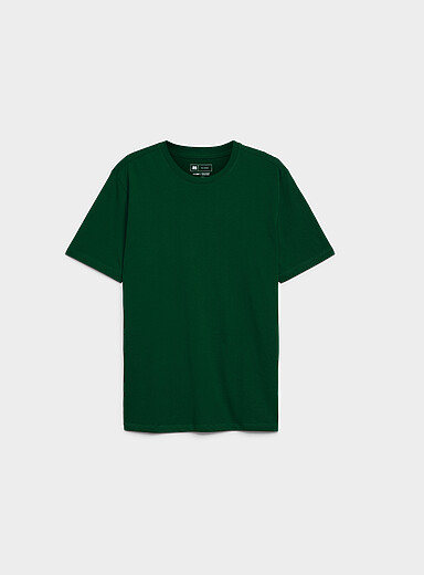 Colourful 100% organic cotton crew-neck T-shirt <b>Standard fit</b>
