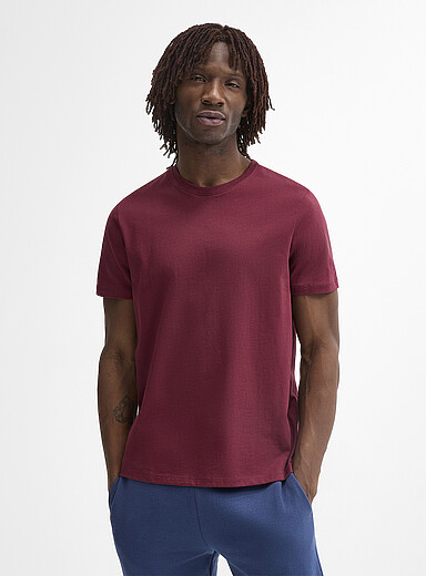 Colourful 100% organic cotton crew-neck T-shirt <b>Standard fit</b>