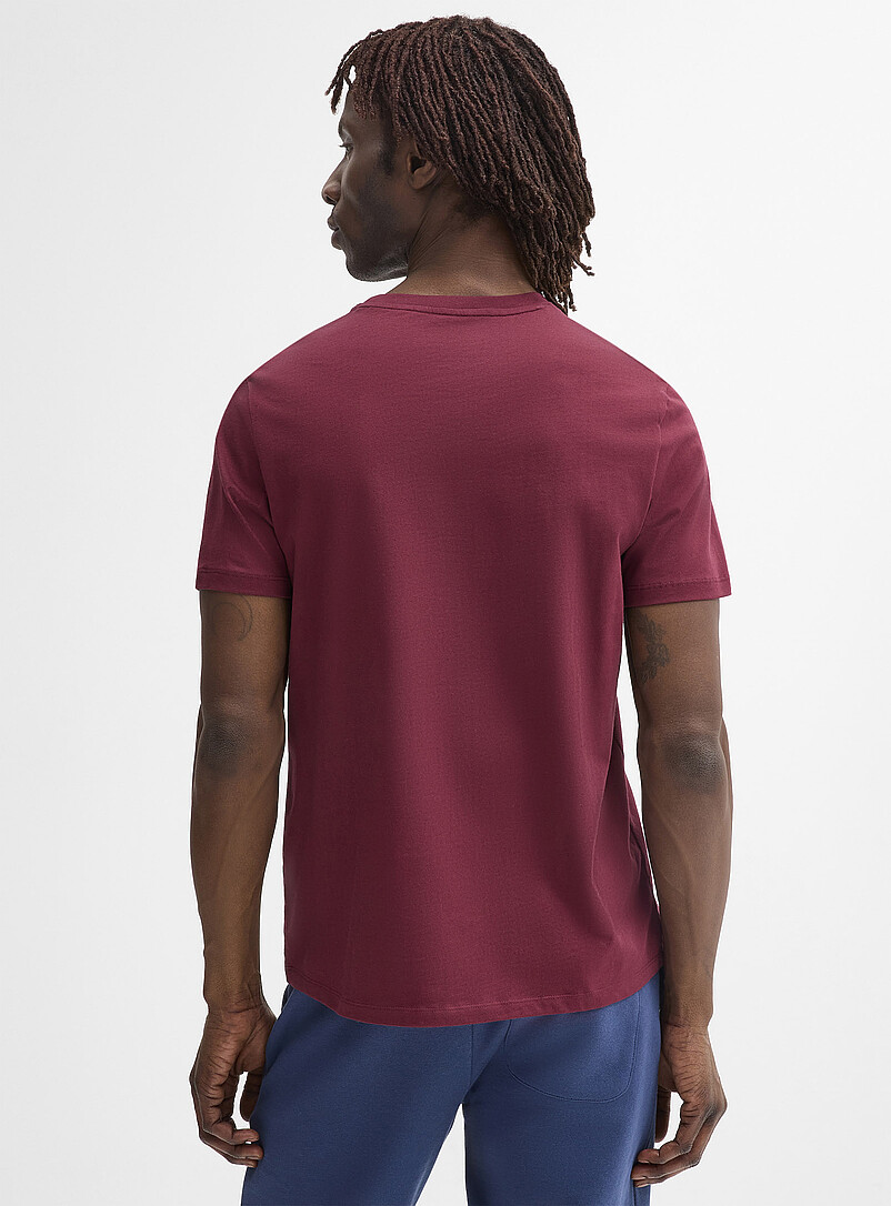 Le 31: Le t-shirt col rond pur coton bio color&eacute; <b>Coupe standard</b> Vert pistache - Menthe pour homme