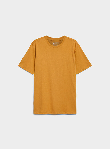 Colourful 100% organic cotton crew-neck T-shirt <b>Standard fit</b>