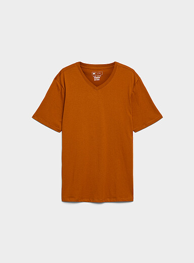 V-neck T-shirt <b>Standard fit</b>