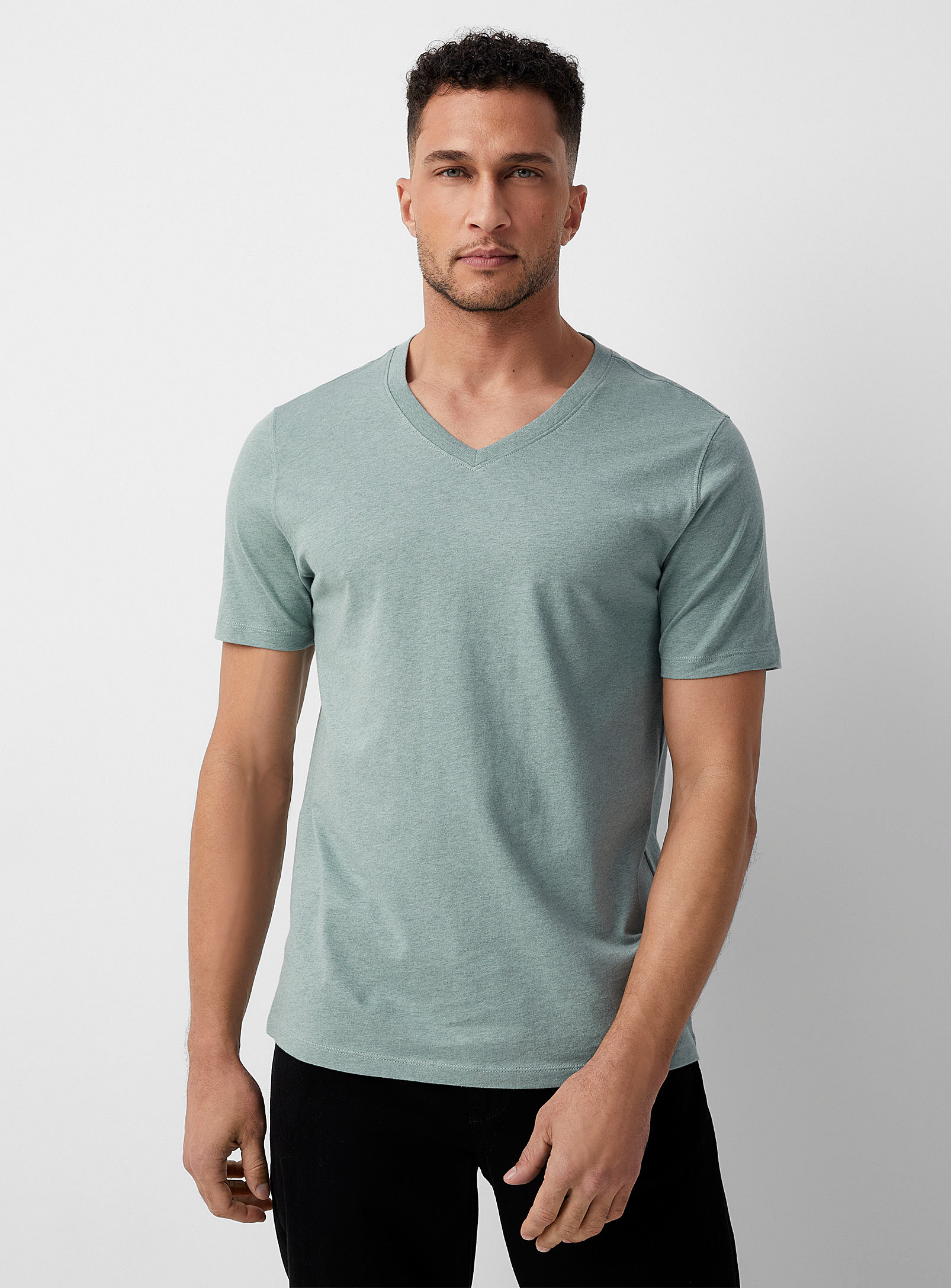 Le 31 100% Organic Cotton V-neck T-shirt Standard Fit In Assorted