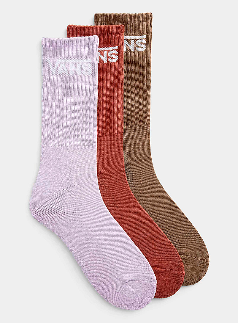 Vans: Les chaussettes côtelées trio couleur Emballage de 3 Brun assorti pour homme