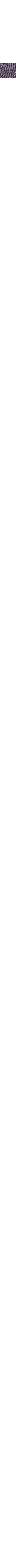 Pourpre