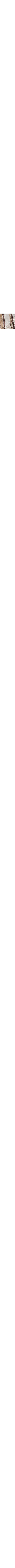 Brun à motif 