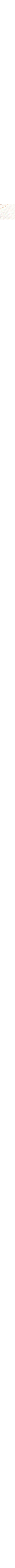Crème à motifs