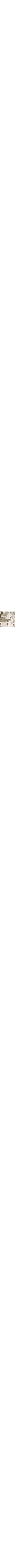 Vert à motifs