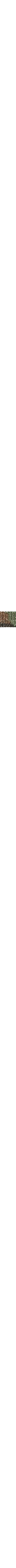 Vert à motifs