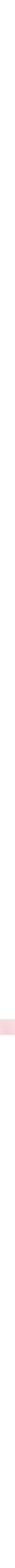 Rose à motifs