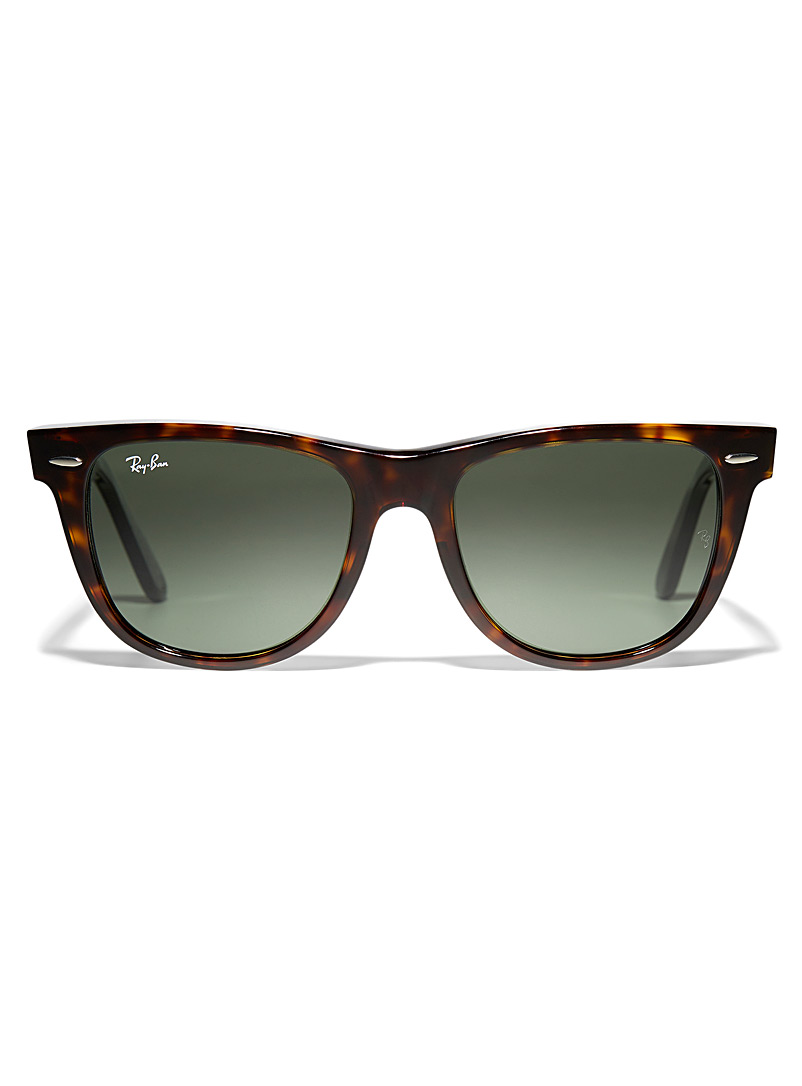 Ray-Ban Brown Wayfarer sunglasses for men
