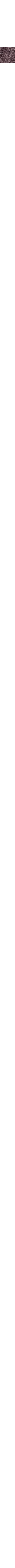 Charbon