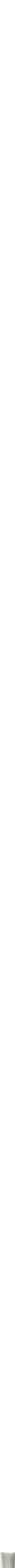 Assorti