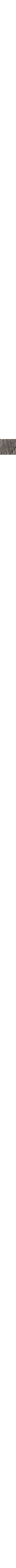 Cuivre - Rouille